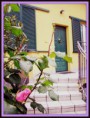 /album/galleria-foto-il-b-b/ext2-jpg/